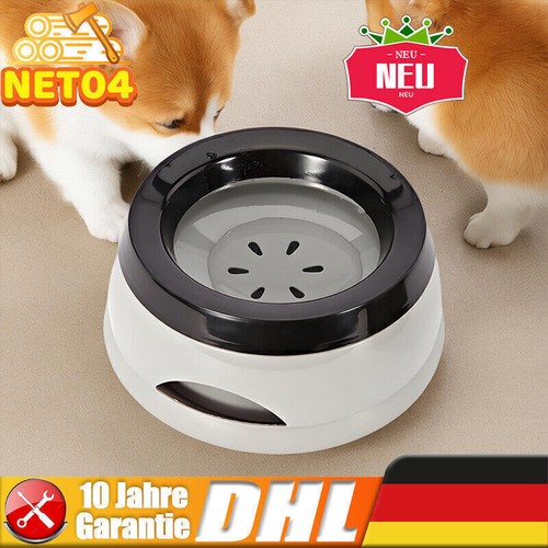 Haustierhund wassernapf - haustierhund,