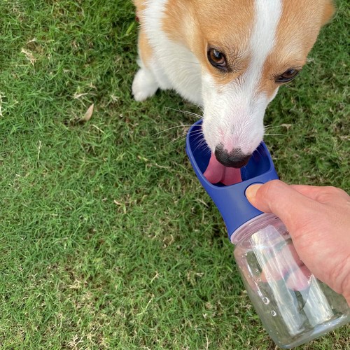 Hunde wasserflasche tragbar - hunde-wasserflasche,